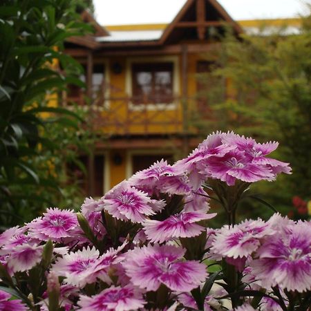 Kau Kaleshen Hotel El Calafate Kültér fotó