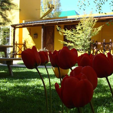 Kau Kaleshen Hotel El Calafate Kültér fotó