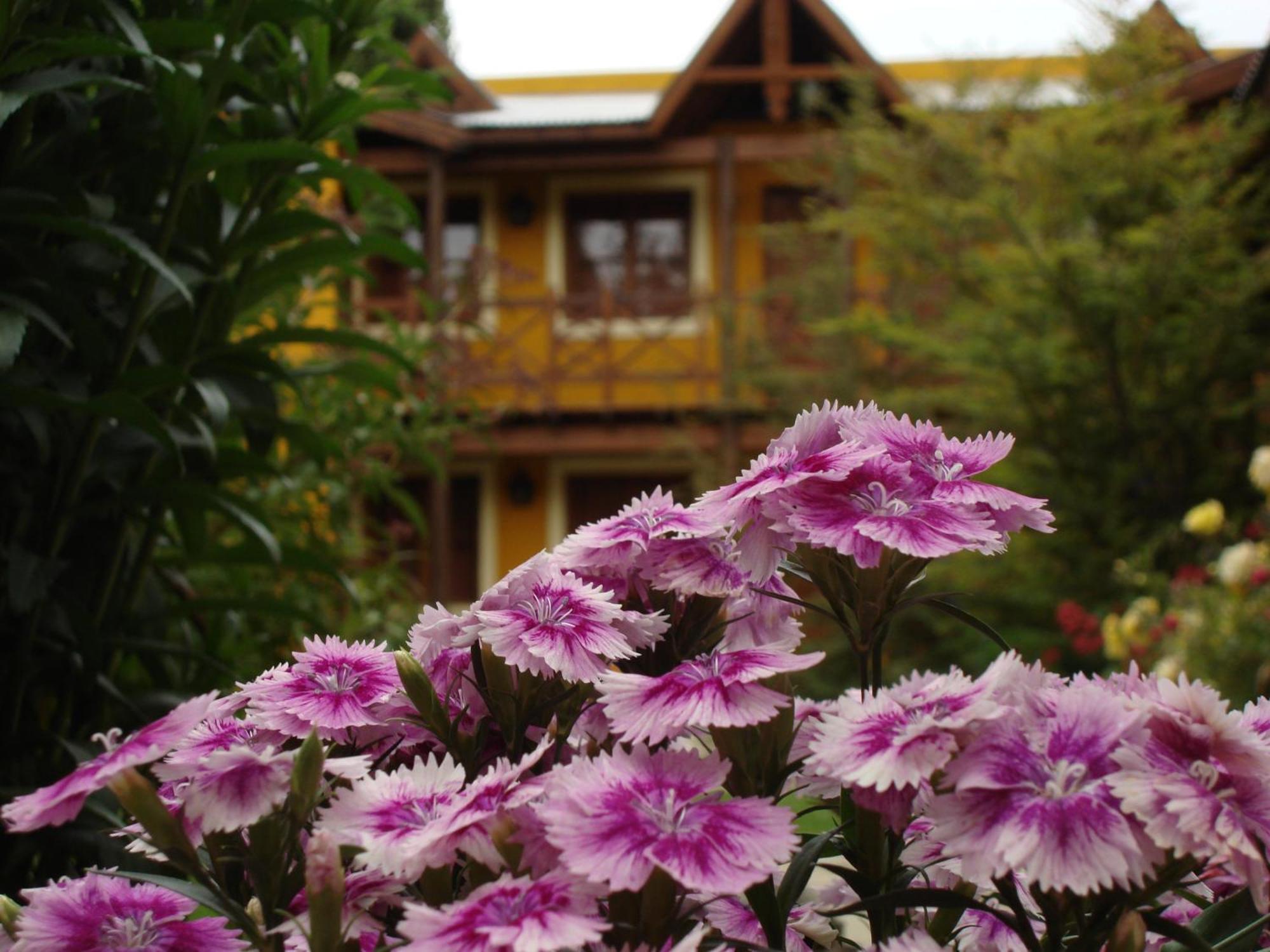 Kau Kaleshen Hotel El Calafate Kültér fotó