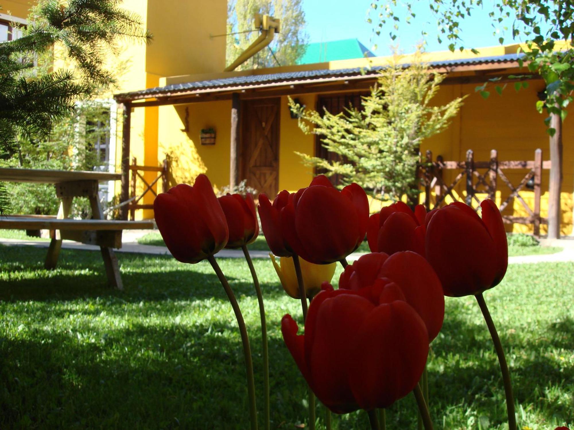 Kau Kaleshen Hotel El Calafate Kültér fotó